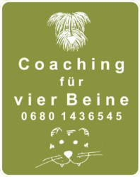 Coaching für vier Beine